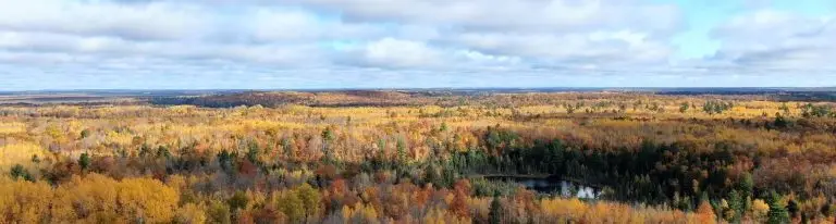 cr1900x510GE-FALL_22